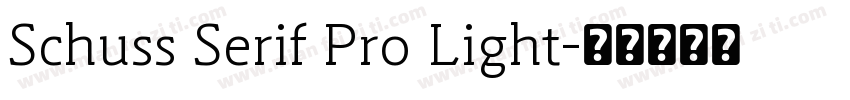 Schuss Serif Pro Light字体转换